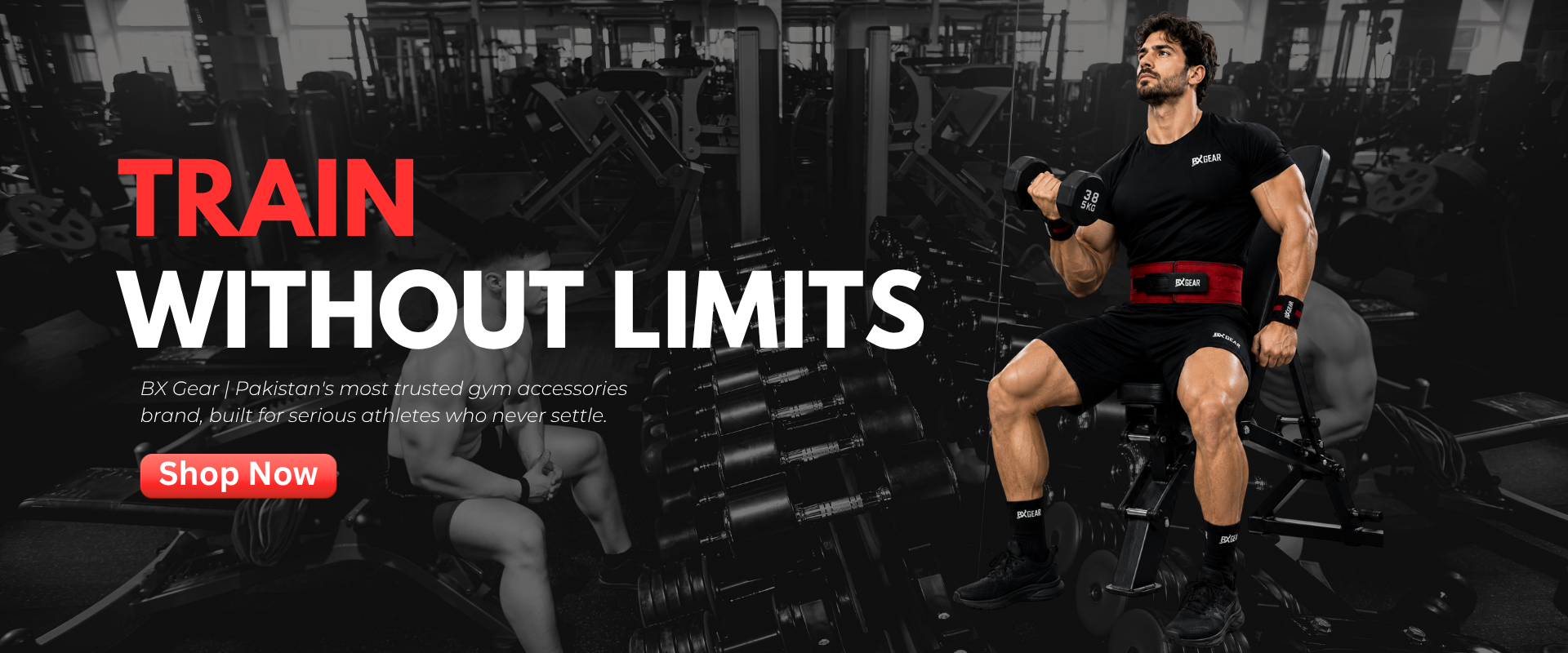 TRAIN WITHOUT (2)
