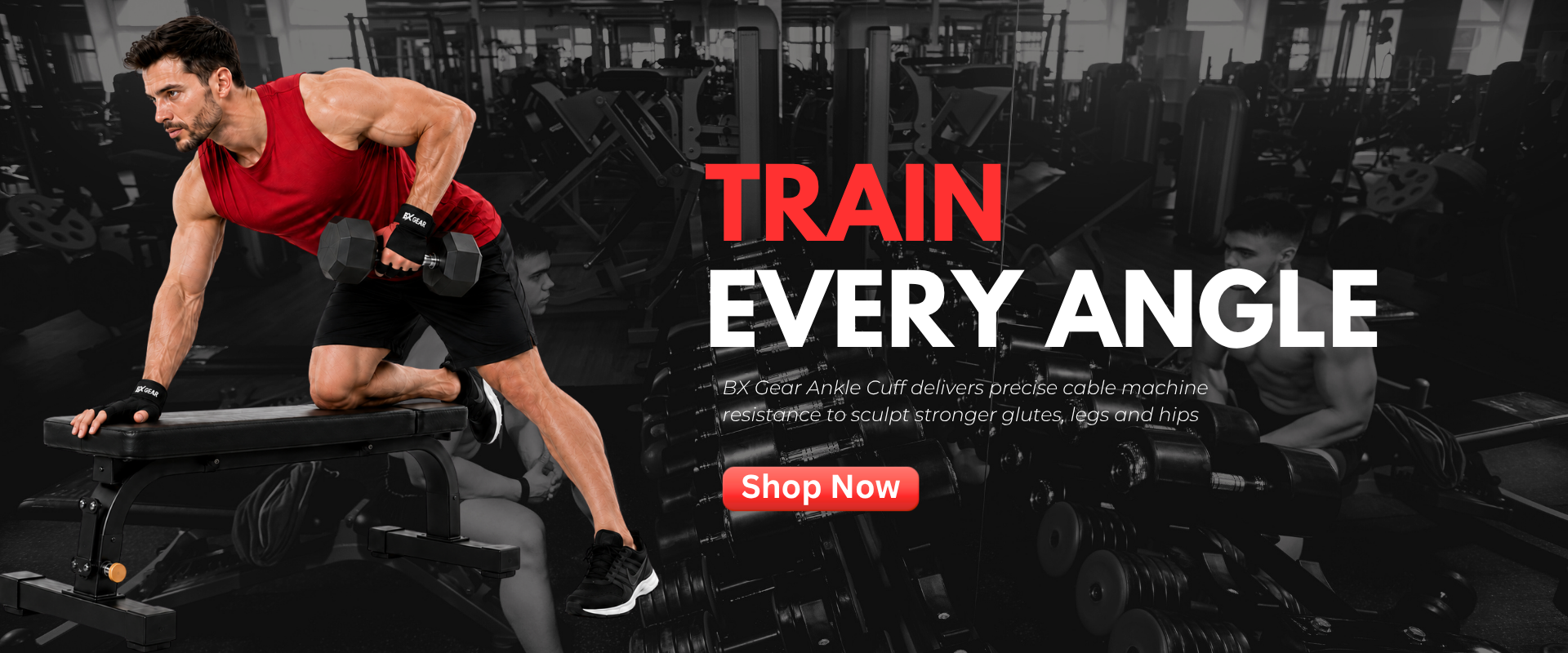 TRAIN WITHOUT (3)
